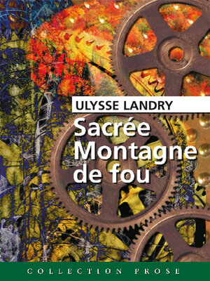cover image of Sacrée Montagne de fou